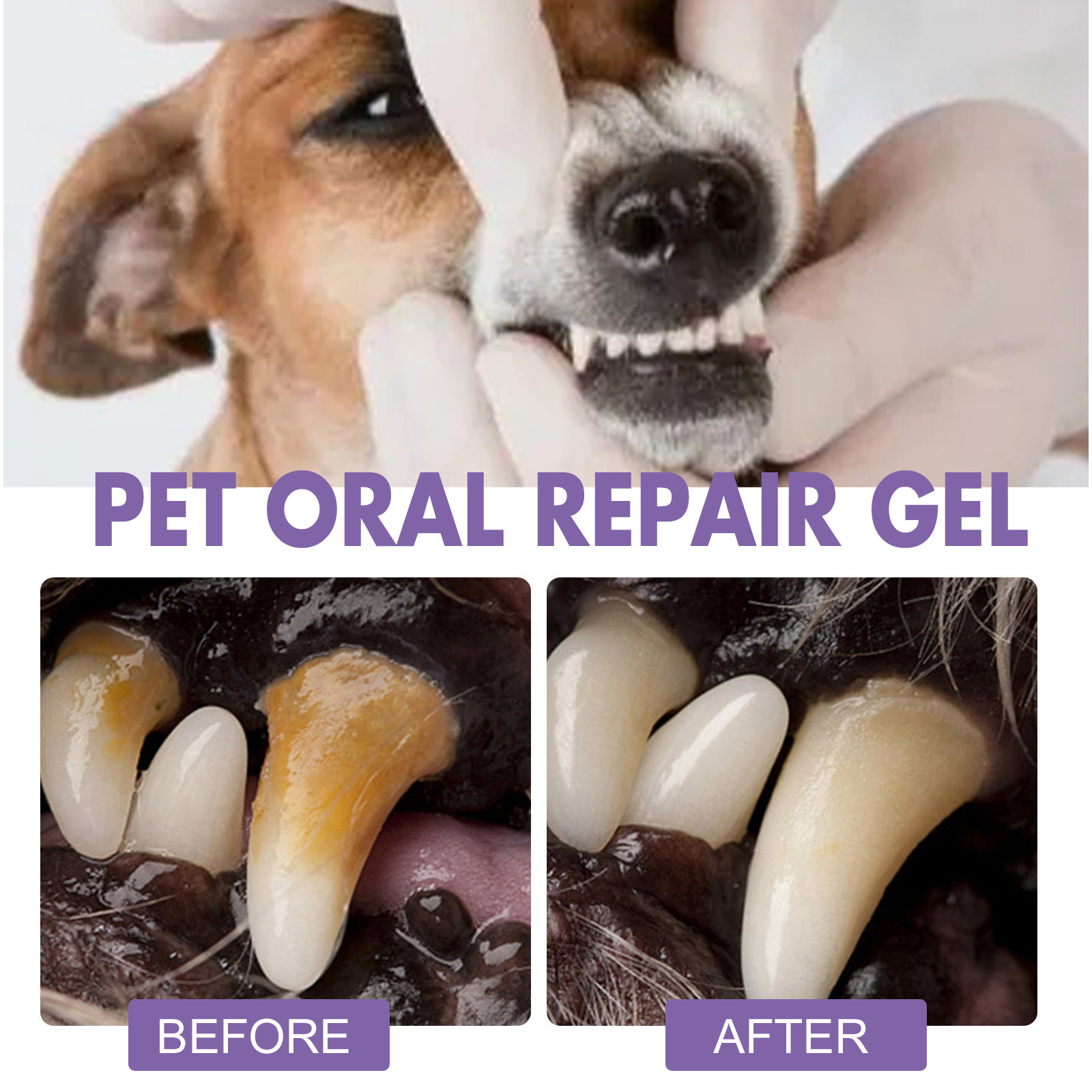Pet Oral Repair Gel Puppy Tart - Teeth Whitening Hismile 评论和价格