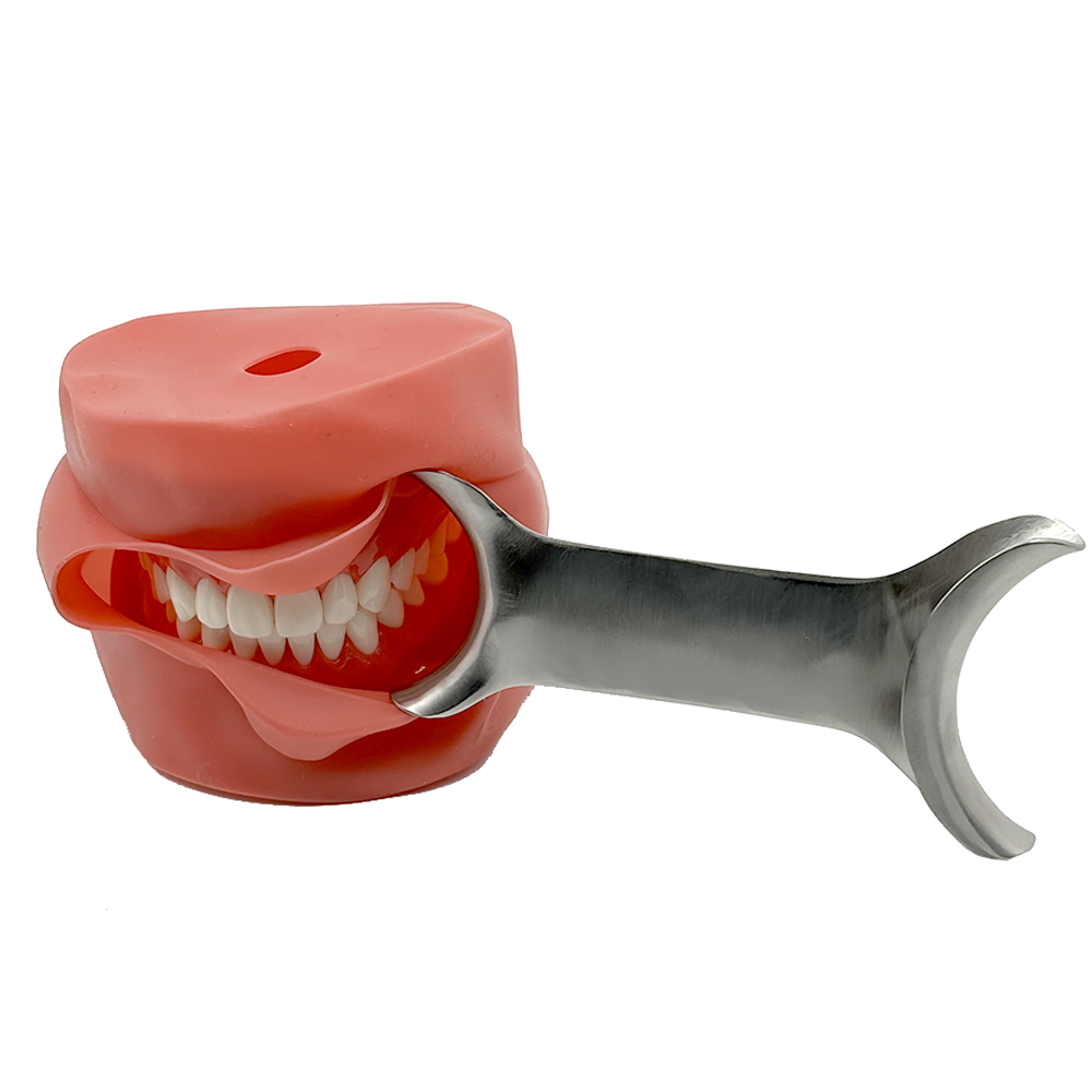 3pcs Autoclavable T-Shape Retr - Teeth Whitening For Photos 评论和价格